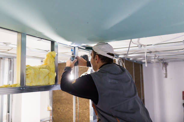 Best Insulation Maintenance and Repair in Granger, IA