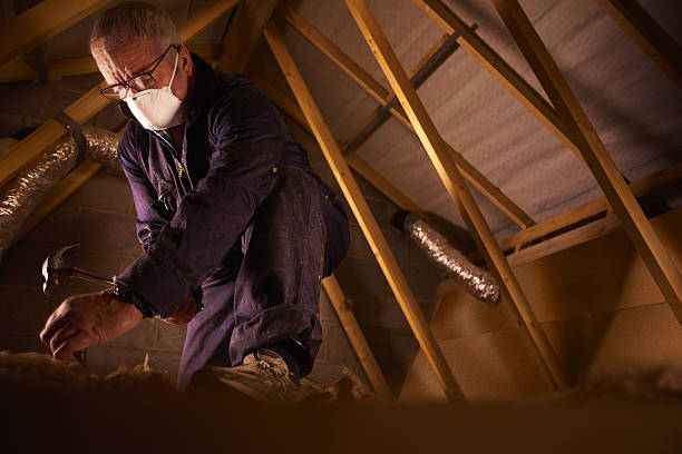 Best Specialized Insulation Services in Granger, IA